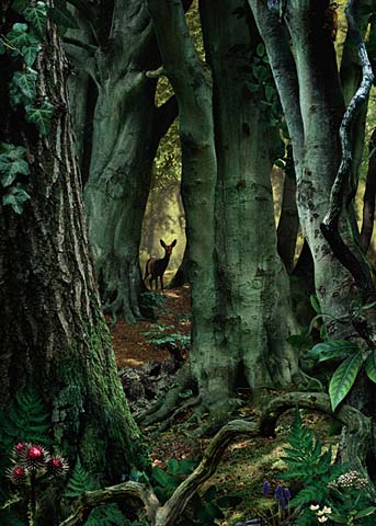  Ruud van Empel