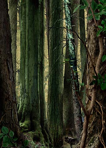 Фотограф Ruud van Empel