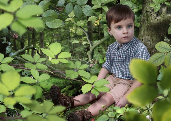 Фотограф Ruud van Empel