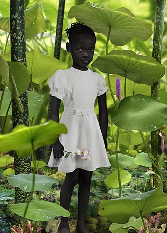 Фотограф Ruud van Empel