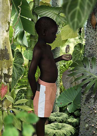 Фотограф Ruud van Empel