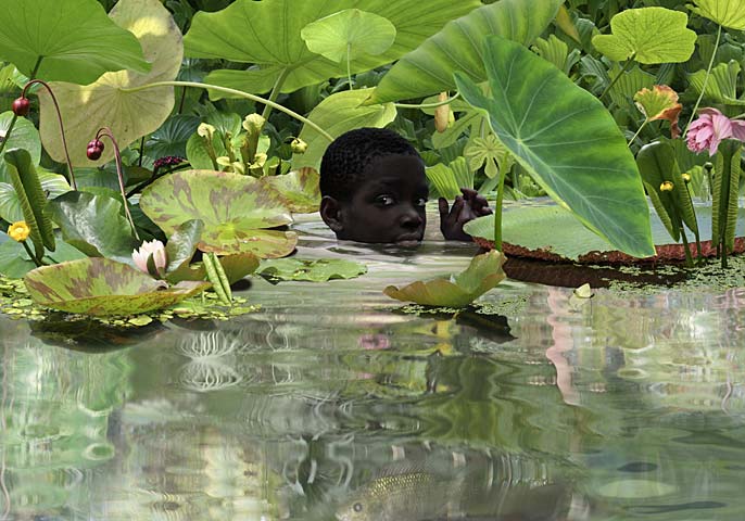 Фотограф Ruud van Empel