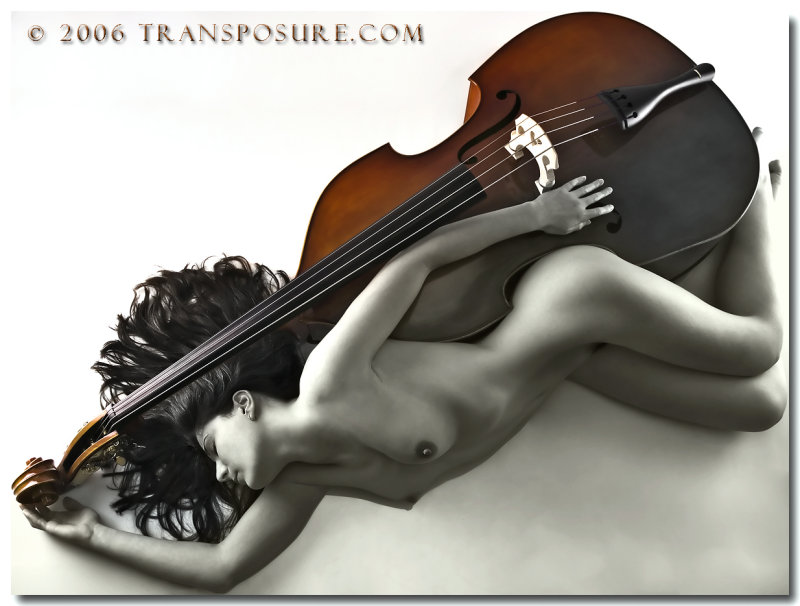     ...  Kenneth P. Volpe (Transposure) (67  - 2.59Mb)