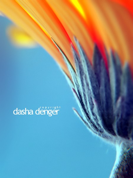  Dasha Denger (119  - 9.37Mb)