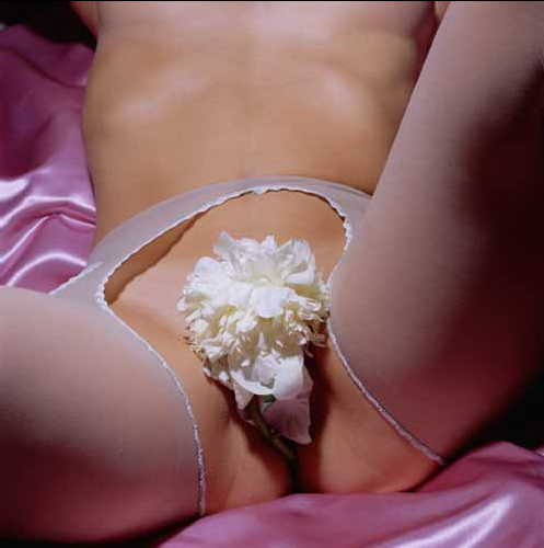  Cornelie Tollens